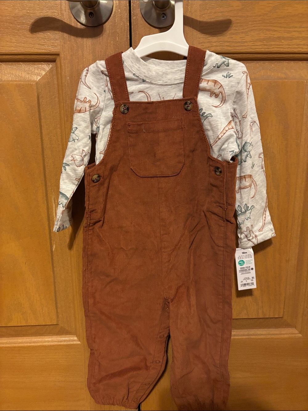 Carter's Rust Brown Corduroy Overalls with Long-Sleeve Dino Tee - Picture 1 of 4